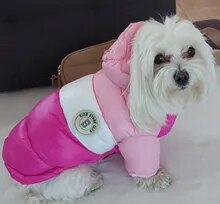 Winter Waterproof Pet Hoodie Jacket Coat for Dogs and Cats