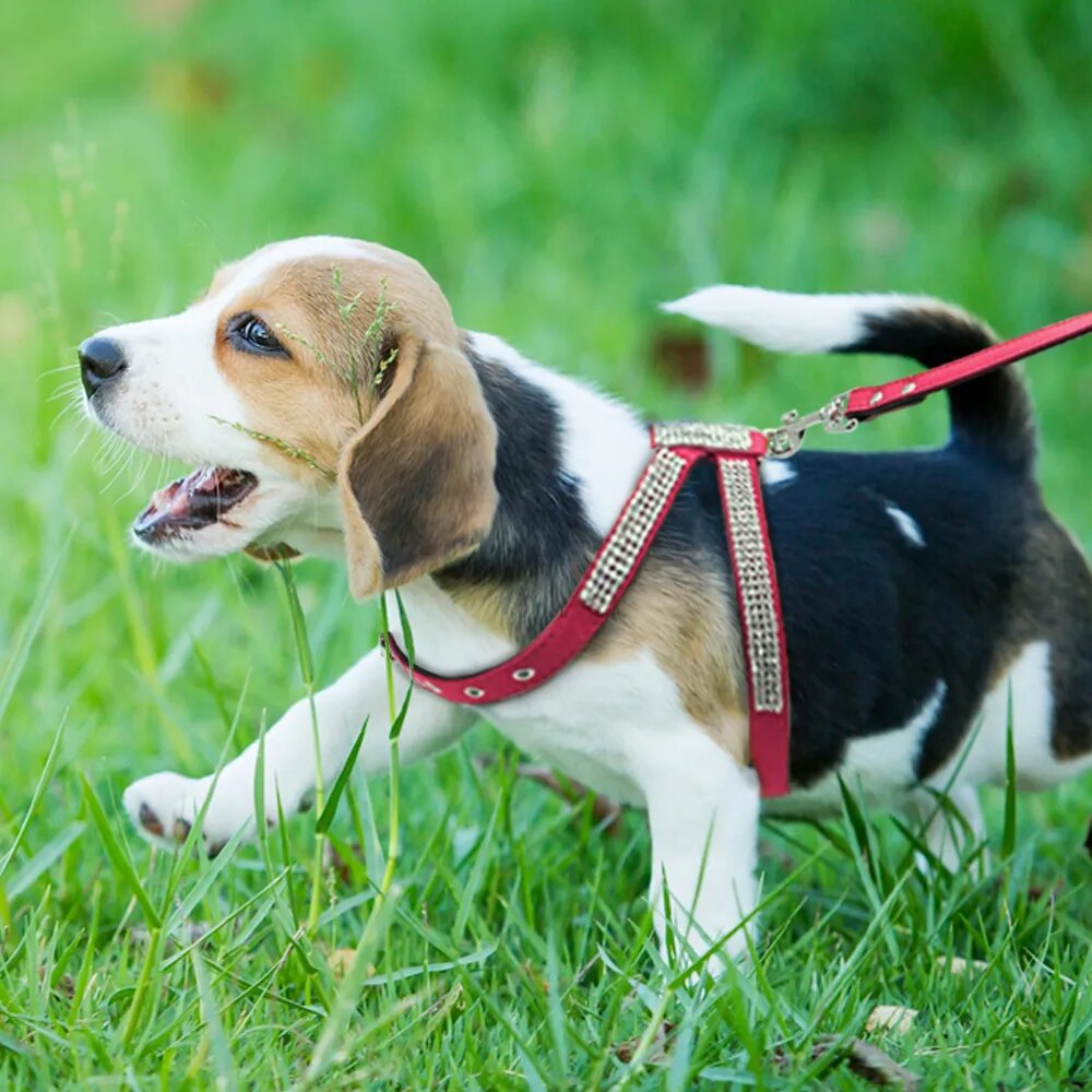 Suede Leather Rhinestone Harness and Leash Lead For Small Medium Dogs