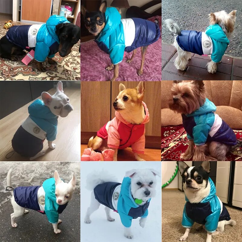 Winter Waterproof Pet Hoodie Jacket Coat for Dogs and Cats