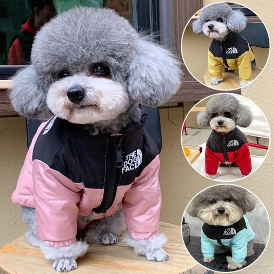 Windproof Dog Jacket Winter Warm Coat For Medium Small Dogs